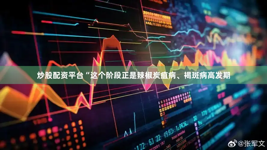 炒股配资平台“这个阶段正是辣椒炭疽病、褐斑病高发期